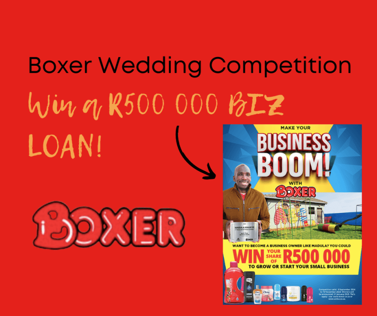 Boxer Competitions 2024: Business loan