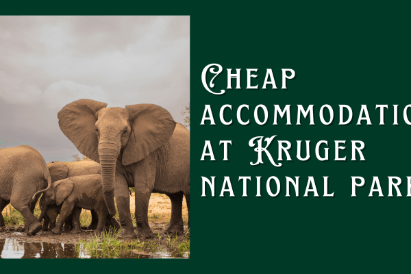 cheap accommodation at kruger national park
