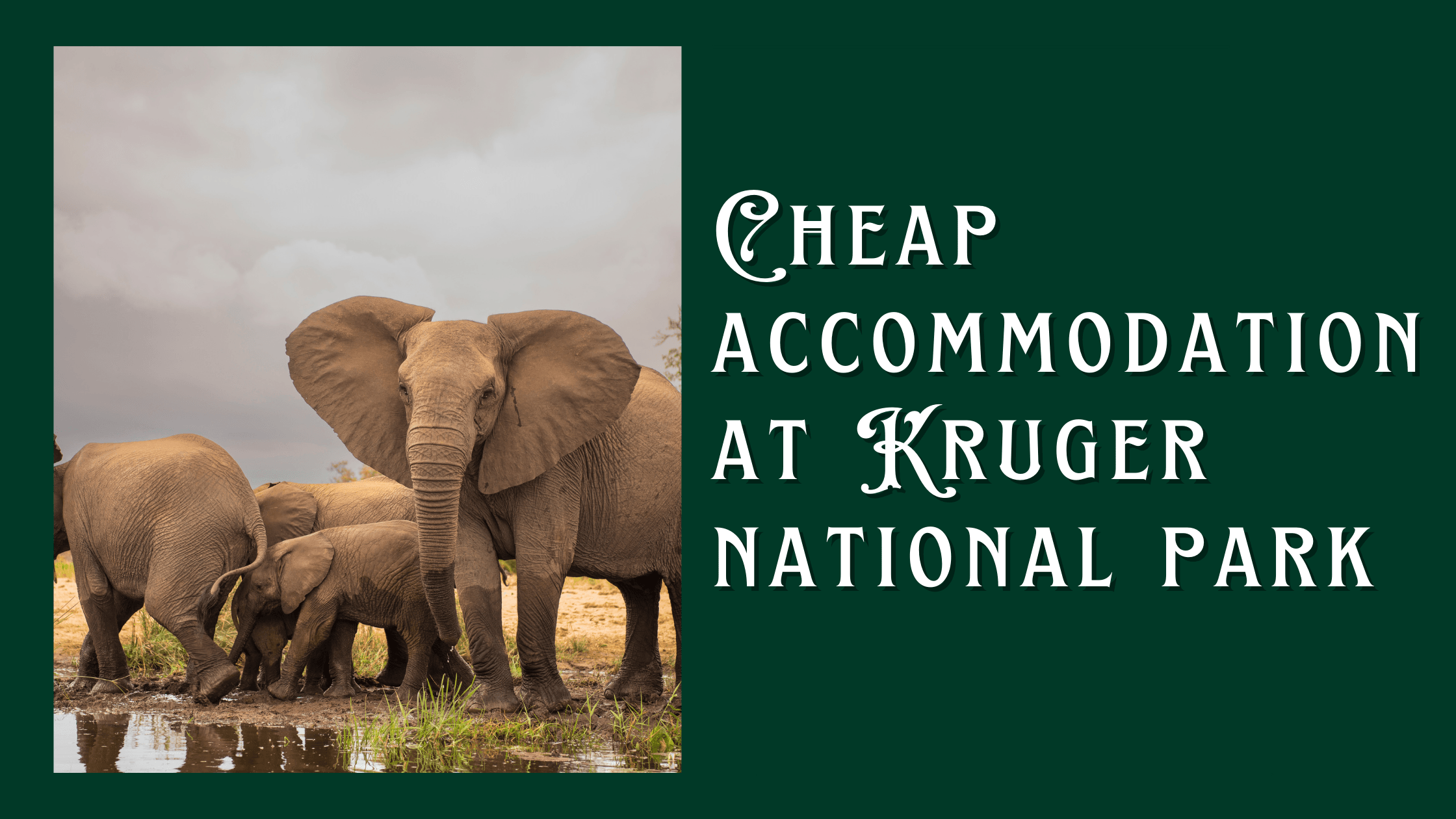 cheap accommodation at kruger national park